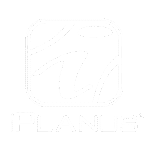 planus